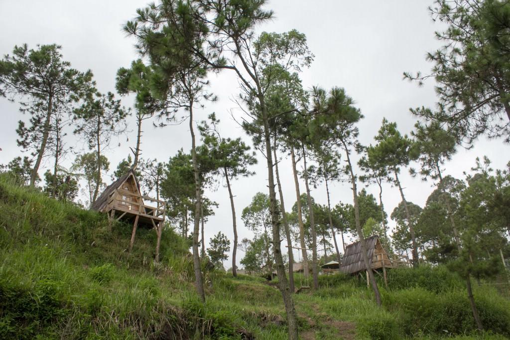 Papandayan Camping Ground Hotell Cileuleuy Eksteriør bilde