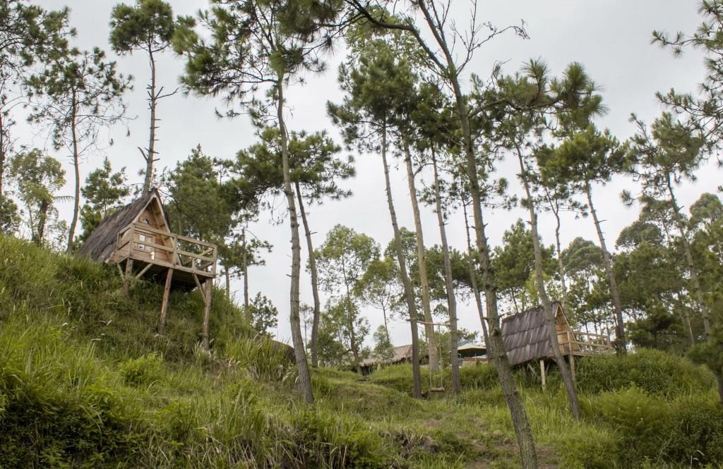 Papandayan Camping Ground Hotell Cileuleuy Eksteriør bilde