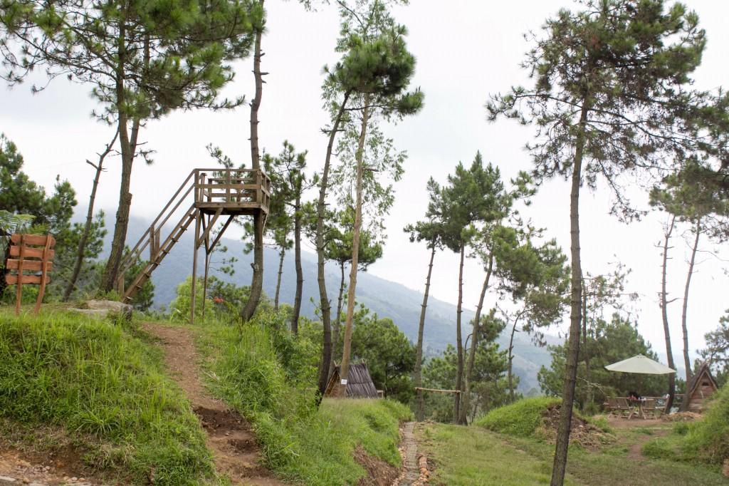 Papandayan Camping Ground Hotell Cileuleuy Eksteriør bilde