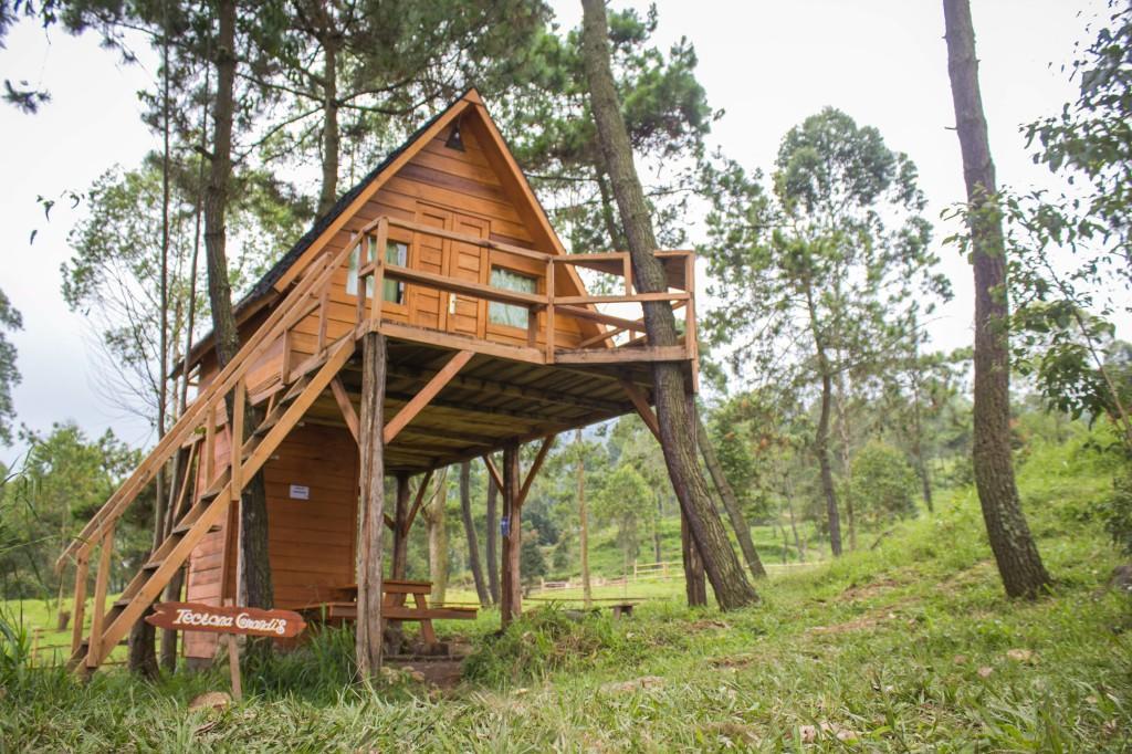 Papandayan Camping Ground Hotell Cileuleuy Eksteriør bilde