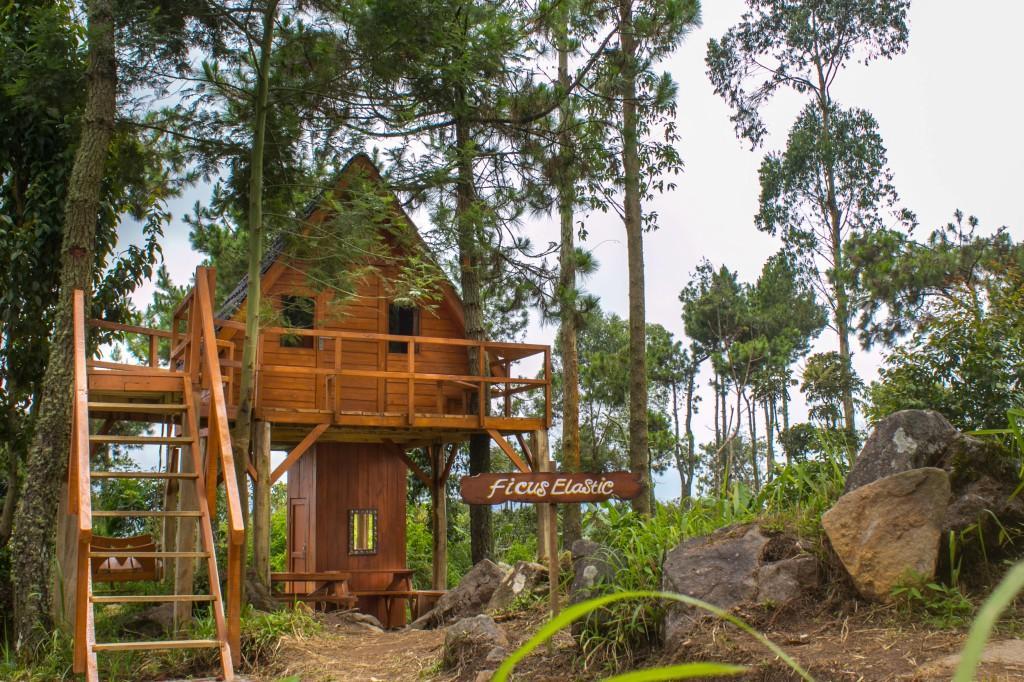 Papandayan Camping Ground Hotell Cileuleuy Eksteriør bilde