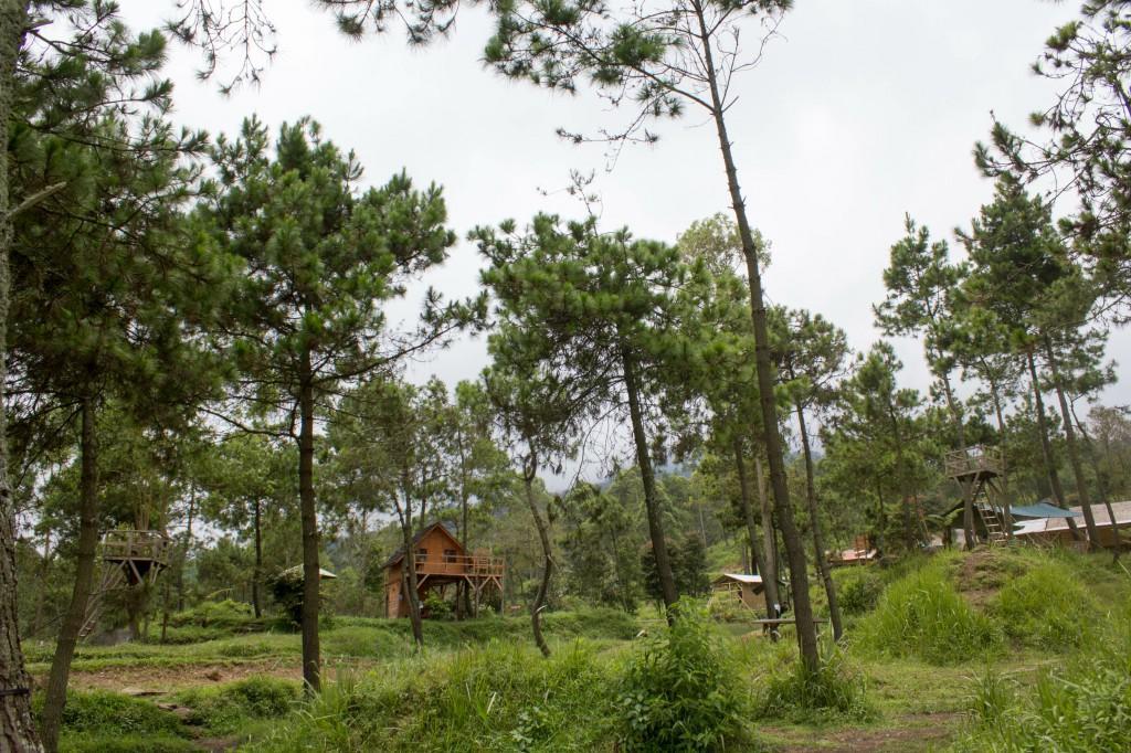 Papandayan Camping Ground Hotell Cileuleuy Eksteriør bilde