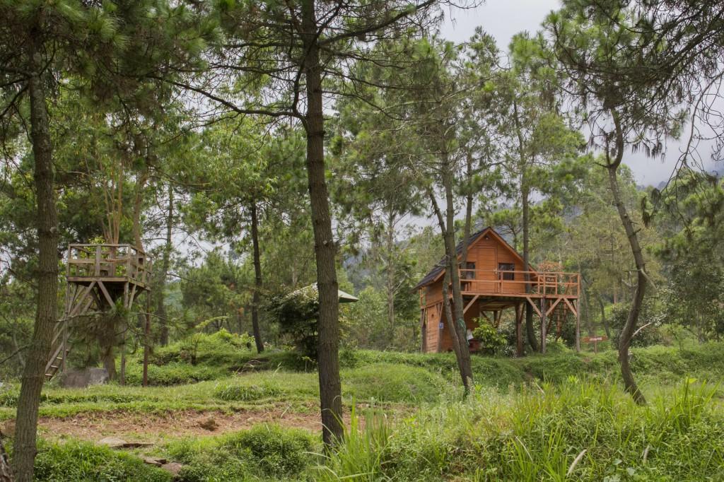 Papandayan Camping Ground Hotell Cileuleuy Eksteriør bilde