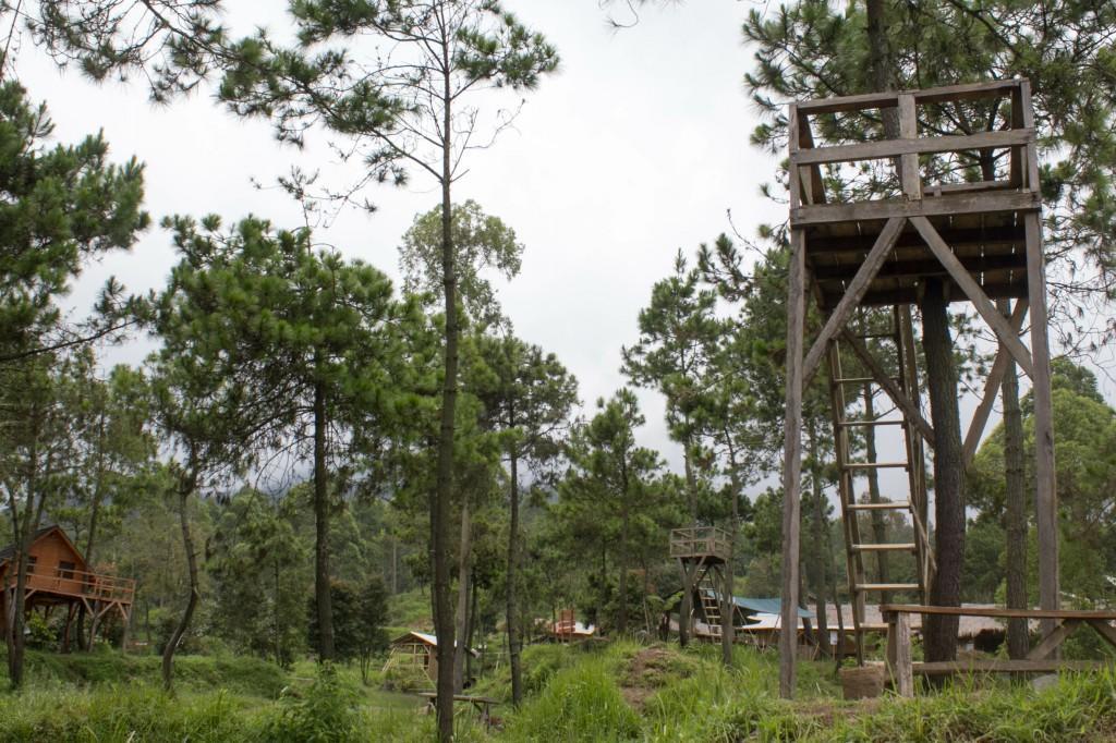 Papandayan Camping Ground Hotell Cileuleuy Eksteriør bilde