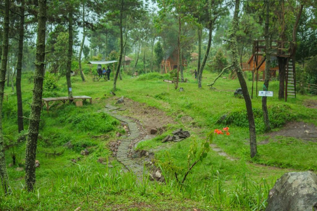Papandayan Camping Ground Hotell Cileuleuy Eksteriør bilde